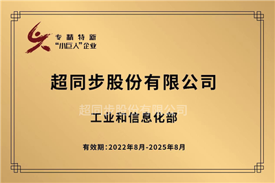 CTB 專精特新“小巨人”企業